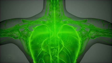 Escaneo-De-Imagen-De-Resonancia-Magnética-3D